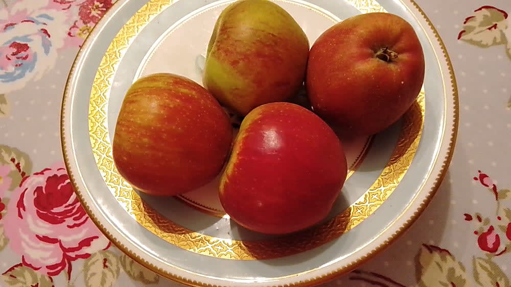 red windsor apples in a bowl